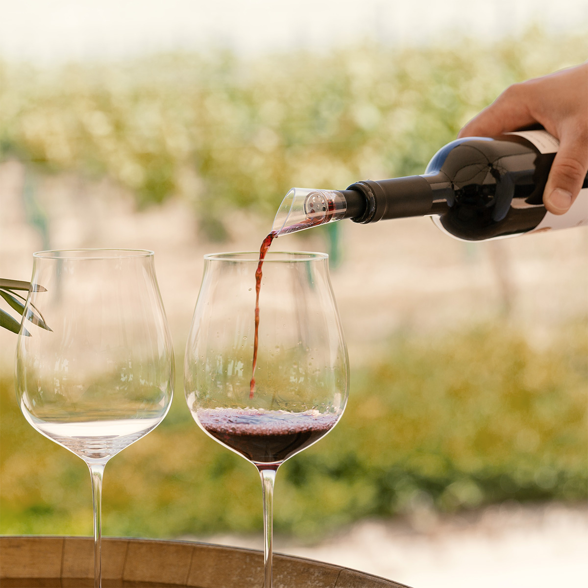 Aerator pentru vin | Lunasol