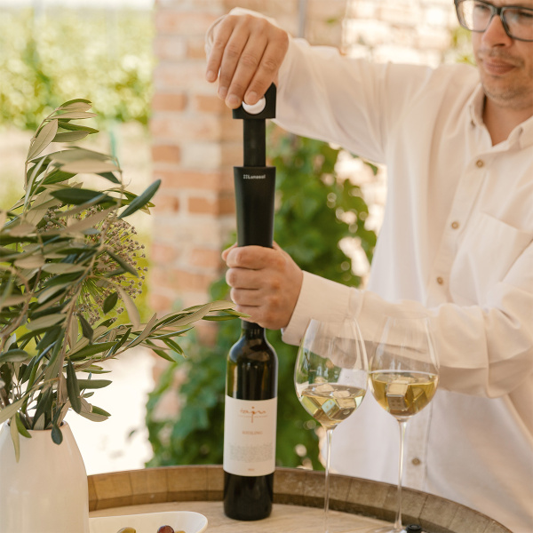 Pompă de vid pentru vin cu 2 dopuri | Lunasol