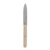 Cuțit de steak alb – Bagotta