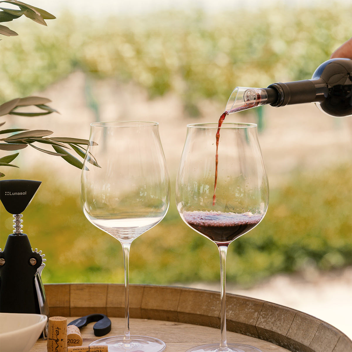 Pahare pentru Cabernet / Alibernet 650 ml set 2 buc - FLOW Glas Platinum Line