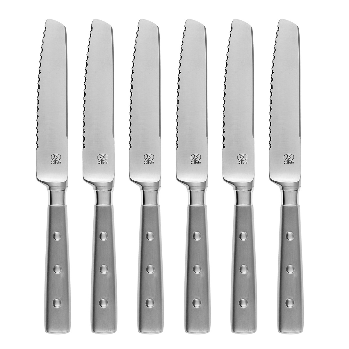 Cuțite pentru friptură în cutie magnetică set 6 buc. – Bistro