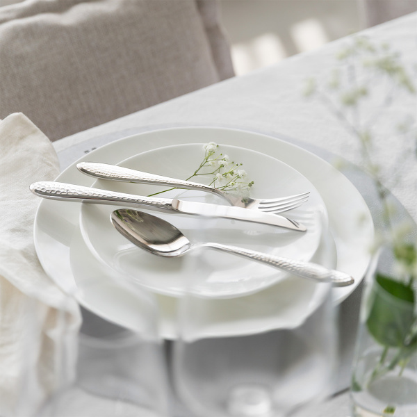 Set de veselă pentru începători 60 piese | Premium Platinum silver