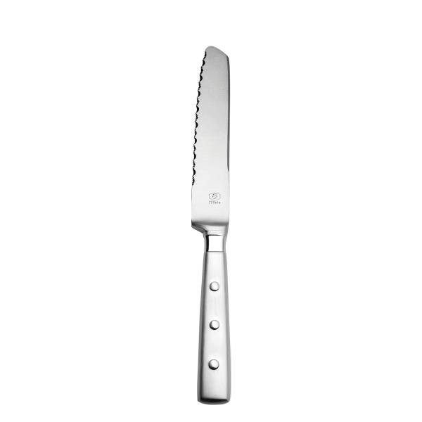 Cuțit pentru friptură cu mâner gol 20 cm - Bistro