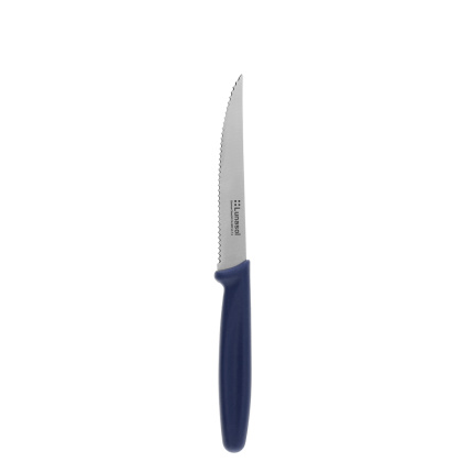 Cuțit pentru friptură 11,2 cm | Master Blue