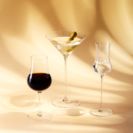 Pahare pentru Martini 210 ml 2 buc | Univers Platinum Line