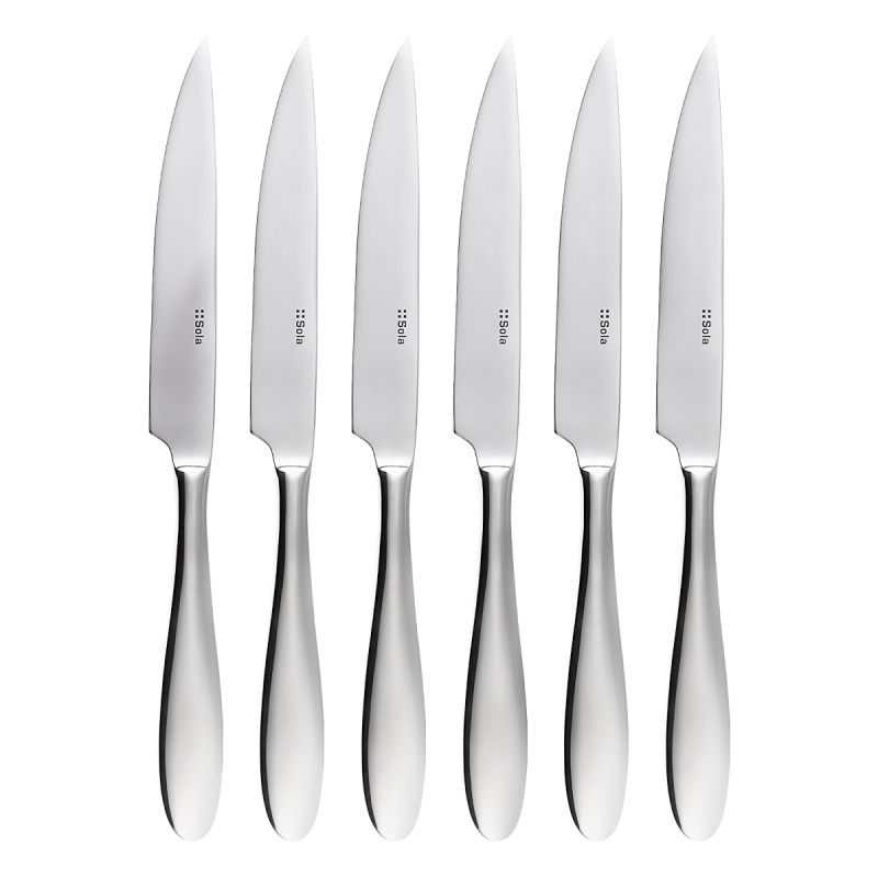 Cuțite pentru friptură în cutie magnetică set 6 buc – Turin