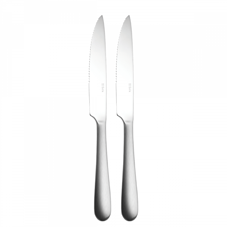 Set de cuțite pentru steak 2 buc – Alpha Stiel mat