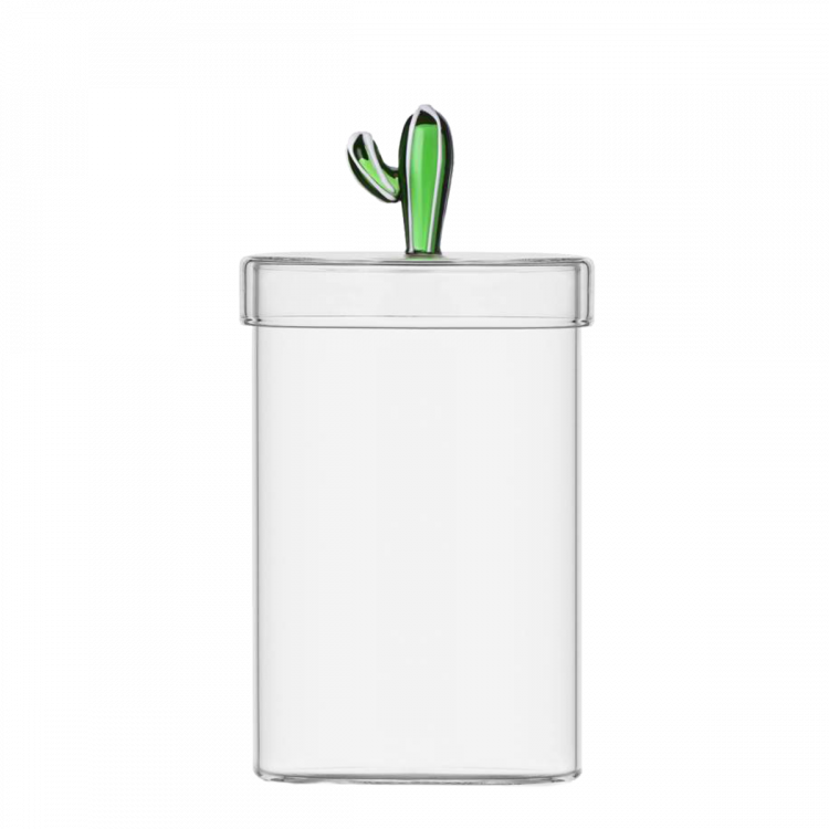 Borcan de sticlă cu capac cu cactus verde ø 10,8 cm - Ichendorf